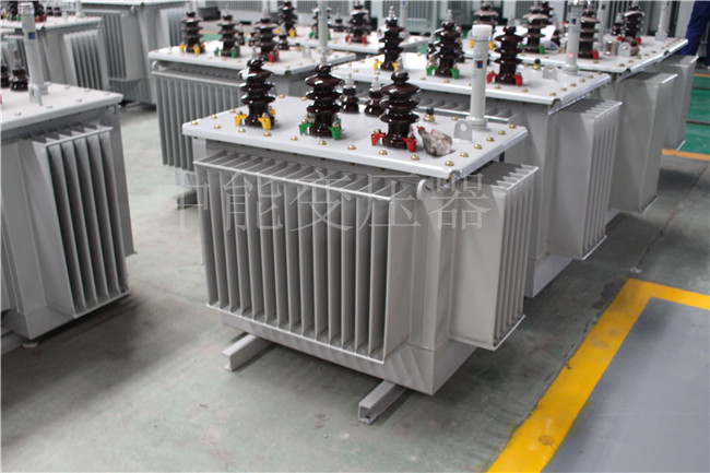 资阳S22-100KVA/10KV/0.4KV变压器